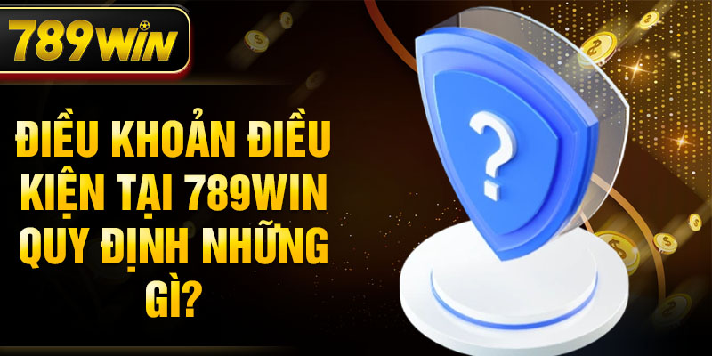 Điều khoản điều kiện tại 789WIN quy định những gì?